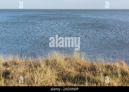 Sylt, Braderuper Heide, Wattenmeer, Informationsschild Stockfoto