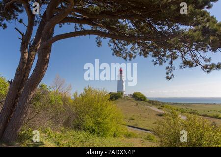 Dornbusch Leuchtturm/Leuchtturm Dornbusch auf Schluckswiek auf der Insel Hiddensee, Mecklenburg-Vorpommern, Deutschland Stockfoto