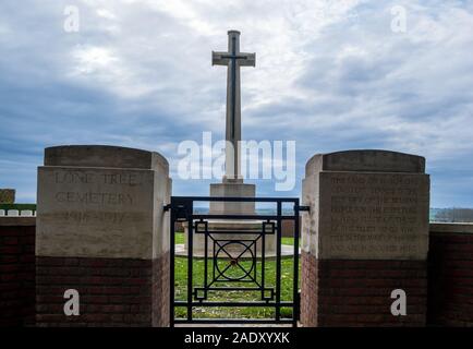 Einsamer Baum Friedhof, wo liegen 88 Männer der Royal Irish Rifles durch Unfall in der größten Messines Ridge Mine Explosionen getötet Stockfoto