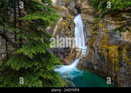 Die untere Johnston fällt in der Johnston Canyon, Banff National Park, Alberta, Kanada Stockfoto