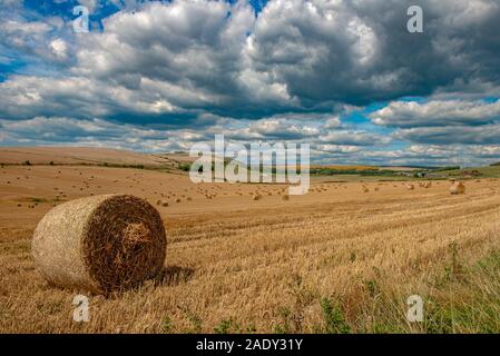 Ein Feld von Weizen und Heuballen auf der South Downs, West Sussex, England, UK. Stockfoto