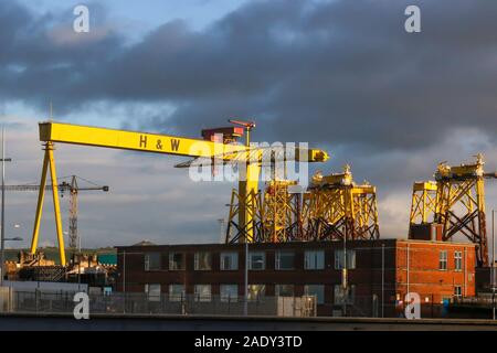 Am späten Nachmittag Sonne über der Harland & Wolff Werft in Belfast glänzend, Beleuchtung, eines der berühmten gelben Belfast werft Kräne. Stockfoto