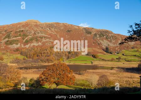 Blick über Little Langdale Tarn in der Kleinen Langdale Valley, Lake District, England. Stockfoto