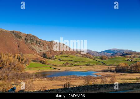 Blick über Little Langdale Tarn in der Kleinen Langdale Valley, Lake District, England. Stockfoto