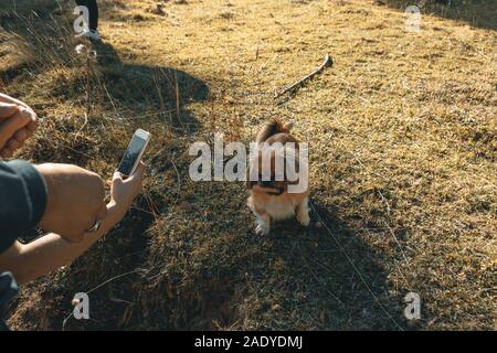 Stolz kleiner Hund eine Wurst zu essen und von den Händen, die Bilder mit smart phone umgeben Stockfoto