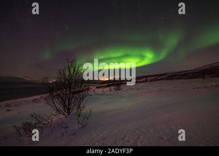 Nordlicht über schneebedeckte Landschaft, und im nördlichen Teil der Altafjord kann im Hintergrund gesehen werden. Stockfoto