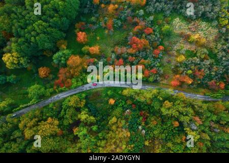 Beeindruckende Luftaufnahme der Straße mit Autos zwischen bunten Herbst Wald Stockfoto