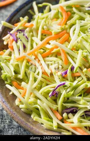 Raw Organic zerkleinertem Brokkoli Slaw bereit zu Essen Stockfoto