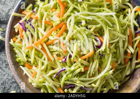 Raw Organic zerkleinertem Brokkoli Slaw bereit zu Essen Stockfoto