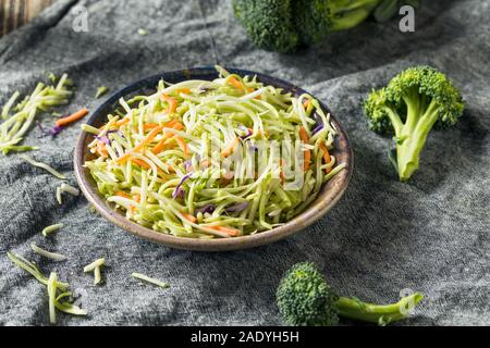 Raw Organic zerkleinertem Brokkoli Slaw bereit zu Essen Stockfoto