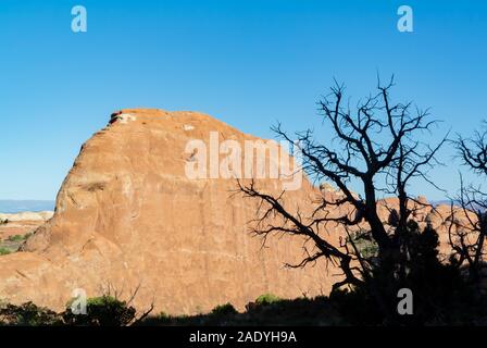 Utah/USA, USA - 8. Oktober 2019: Silhouette der toten Baum im Arches National Park Stockfoto