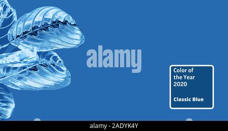 Blau 2020 Inschrift. Farbverlauf Farben Palette. Calathea bunte Blätter als tropische Pflanze auf einem hellen blau getönten Hintergrund. Flach, Ansicht von oben. Kopieren Sie Platz. Banner Stockfoto