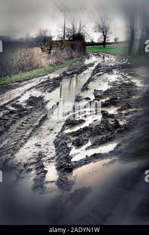 Murkey stumpf nassen Feldweg Stockfoto