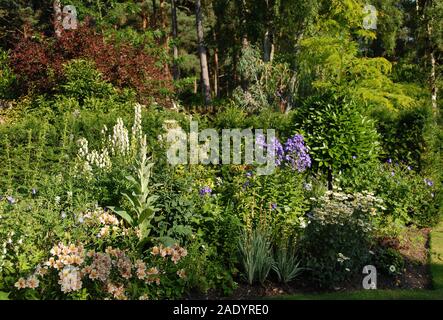 Hohe Sommer Experte gestalteten Staudenbeet in einem privaten Garten in Woodhall Spa Stockfoto