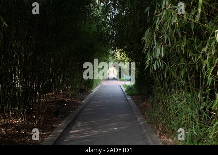 Pariser Promenade Plantée - Coulée Verte René-Dumont - Paris Frankreich Stockfoto