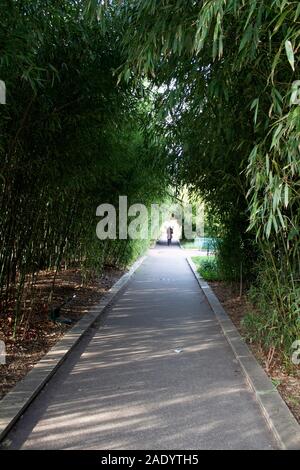 Pariser Promenade Plantée - Coulée Verte René-Dumont - Paris Frankreich Stockfoto