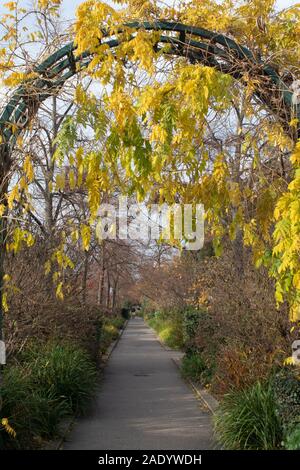 Pariser Promenade Plantée - Coulée Verte René-Dumont - Paris Frankreich Stockfoto