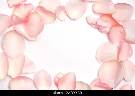 Rose Blumenblätter angeordnet an Rahmen Stockfoto