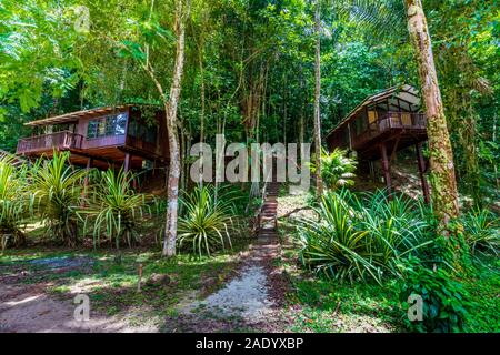 Brokopondo, Surinam - August 2019: Zwei Bungalows im Berg en Dal Jungle Resort von Flora umgeben. Stockfoto