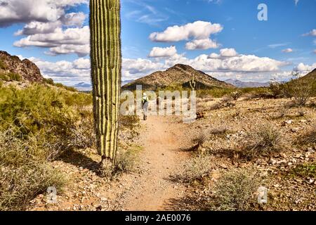 Phoenix Berg erhalten. National Park. Arizona. USA. Stockfoto