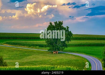 Bucolic Country Road durch Lancaster County Farm Land. Stockfoto