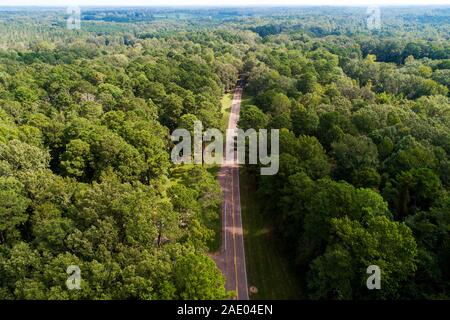 Den Natchez Trace Parkway Mississippi MS auch als die 'alten Natchez Trace', ist ein historischer Waldweg innerhalb der Vereinigten Staaten, die Rou erstreckt sich bekannt Stockfoto