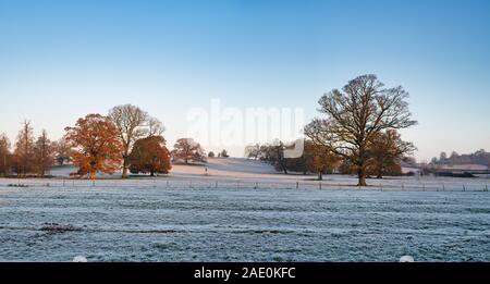 Quercus robur. Eichen der Winter Frost in der englischen Landschaft. Könige Sutton, Northamptonshire. Großbritannien Stockfoto