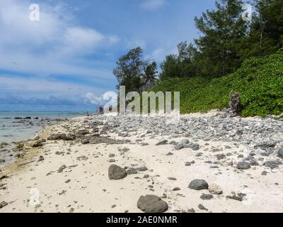 Felsen auf dem goldenen Sandstrand mit Beachside Vegetation auf der tropischen Insel. Stockfoto