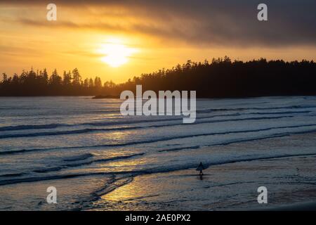 Long Beach, in der Nähe von Tofino und Ucluelet in Vancouver Island, BC, Kanada. Silhouette Surfer mit einem Surfbrett im Wasser mit goldenen Sonnenuntergang auf der Stockfoto