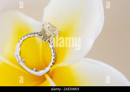 Diamond Ring stellte Auf der schönen Plumeria Flower Stockfoto