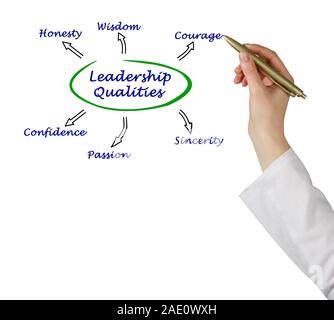 Diagramm der Führungsqualitäten Stockfoto
