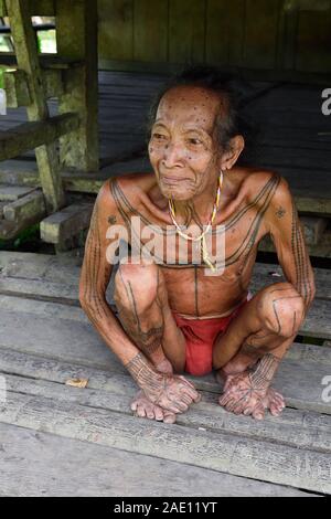 Muara Siberut, Mentawai Inseln, Indonesien, November 5, 2019: Portrait tribal ältere Mann - Schamanen, mit traditionellen Tätowierungen, an seinem Regenwald home. Stockfoto