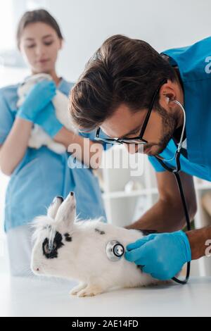 Aufmerksame Tierarzt Prüfung cute beschmutzt Kaninchen mit Stethoskop in der Nähe von Kollegen Stockfoto