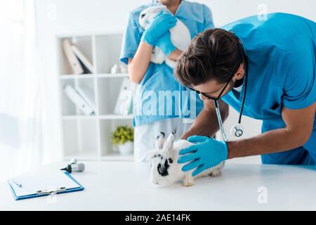 Junge Tierärzte Prüfung zwei adorable Kaninchen in Klinik Stockfoto