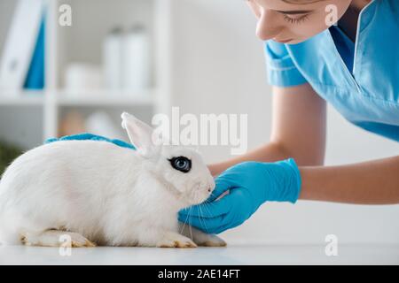 Jungen, aufmerksamen Tierarzt Prüfung niedlichen weißen Kaninchen sitzen am Tisch Stockfoto