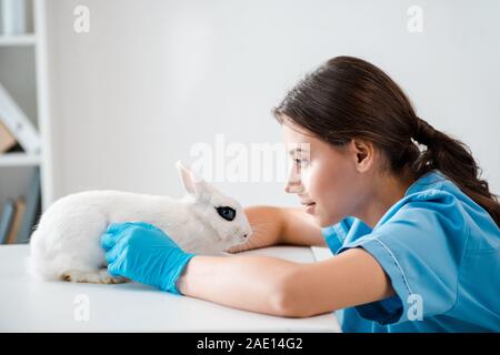 Seitenansicht des aufmerksam, positive Tierarzt Prüfung niedlichen weißen Kaninchen sitzen am Tisch Stockfoto