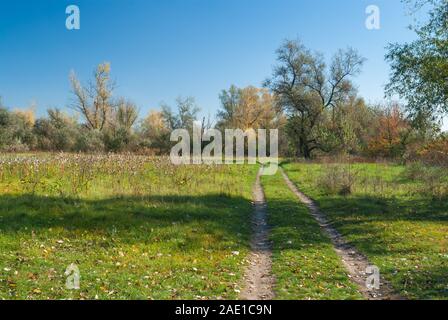 Land Landschaft mit einer Masse Weg durch Wiese an sonnigen, herbstlichen Tag Stockfoto