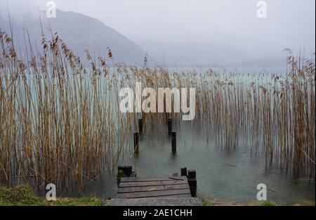 Ruinen einer alten hölzernen Pier im Schilf an einem stürmischen Tag in einem Bergsee, Frankreich Stockfoto