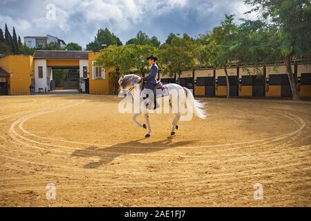 JEREZ, SPANIEN - ca. November 2019: Der Yeguada de la Cartuja Gestüt von Jerez de la Frontera in Andalusien, Spanien Stockfoto