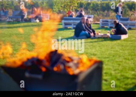 Das Konzept eines Picknicks. Feuer während eines Picknicks auf einem grünen Rasen fo Stockfoto