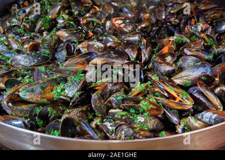 Fisch und Meeresfrüchte. Miesmuscheln in einer großen Pfanne. Street Food. Muscheln in die Tanks. Leckerer Snack für Feinschmecker. Close-up Stockfoto