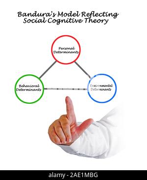 Bandura's Modell der sozialen kognitiven Theorie Stockfoto