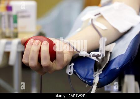 Blutspender während der Spende mit einem roten bouncy Ball in Hand. Konzept der Geber, Transfusionen, Gesundheitswesen Stockfoto