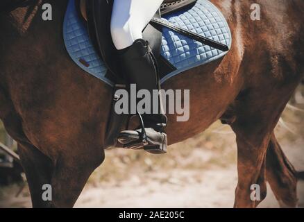 In den Sattel auf einem Pferd sitzt ein Reiter in schwarze Stiefel, im Steigbügel gekleidet und durch Sonnenlicht beleuchtet. Stockfoto