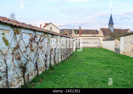Frankreich, Seine-et-Marne, Thomery, Überreste der Mauern für die Produktion von Chasselas von Thomery // Frankreich, Seine-et-Marne (77), Thomery, Spuren d Stockfoto