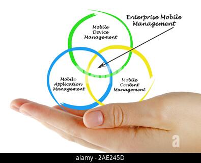 Diagramm der Enterprise Mobile Verwaltung Stockfoto