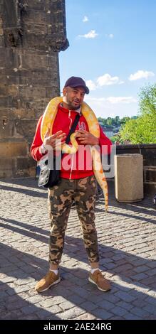 Die Karlsbrücke männlich mit python Schlange für Touristen tout Fotografien mit, in Prag in der Tschechischen Republik Rechnung zu tragen. Stockfoto