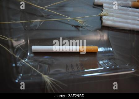 Eine Zigarette liegt in Kunststoffverpackungen. Stockfoto