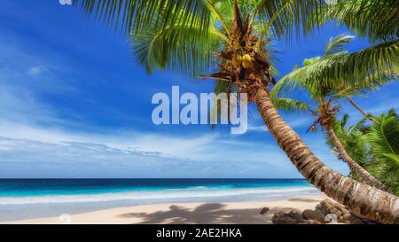 Sonnigen tropischen Strand und das türkisfarbene Meer in exotischen Paradies Insel. Stockfoto