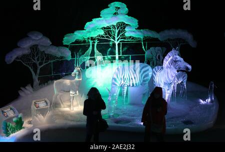 Rovershagen, Deutschland. 06 Dez, 2019. 06 Dezember 2019, Mecklenburg-Vorpommern, Rövershagen: Nach der Eröffnung der 17. Ice World in Karls Erlebnis-Dorf, Besucher sind auf dem Weg zu der Ausstellung "Afrika - Expedition zum Kilimanjaro". 25 Künstler aus 12 Ländern verarbeitet ca. 300 Tonnen Eis aus einem polnischen Ice Factory. Die Ausstellung ist geöffnet bis 01.11.2020. Quelle: dpa Picture alliance/Alamy leben Nachrichten Stockfoto